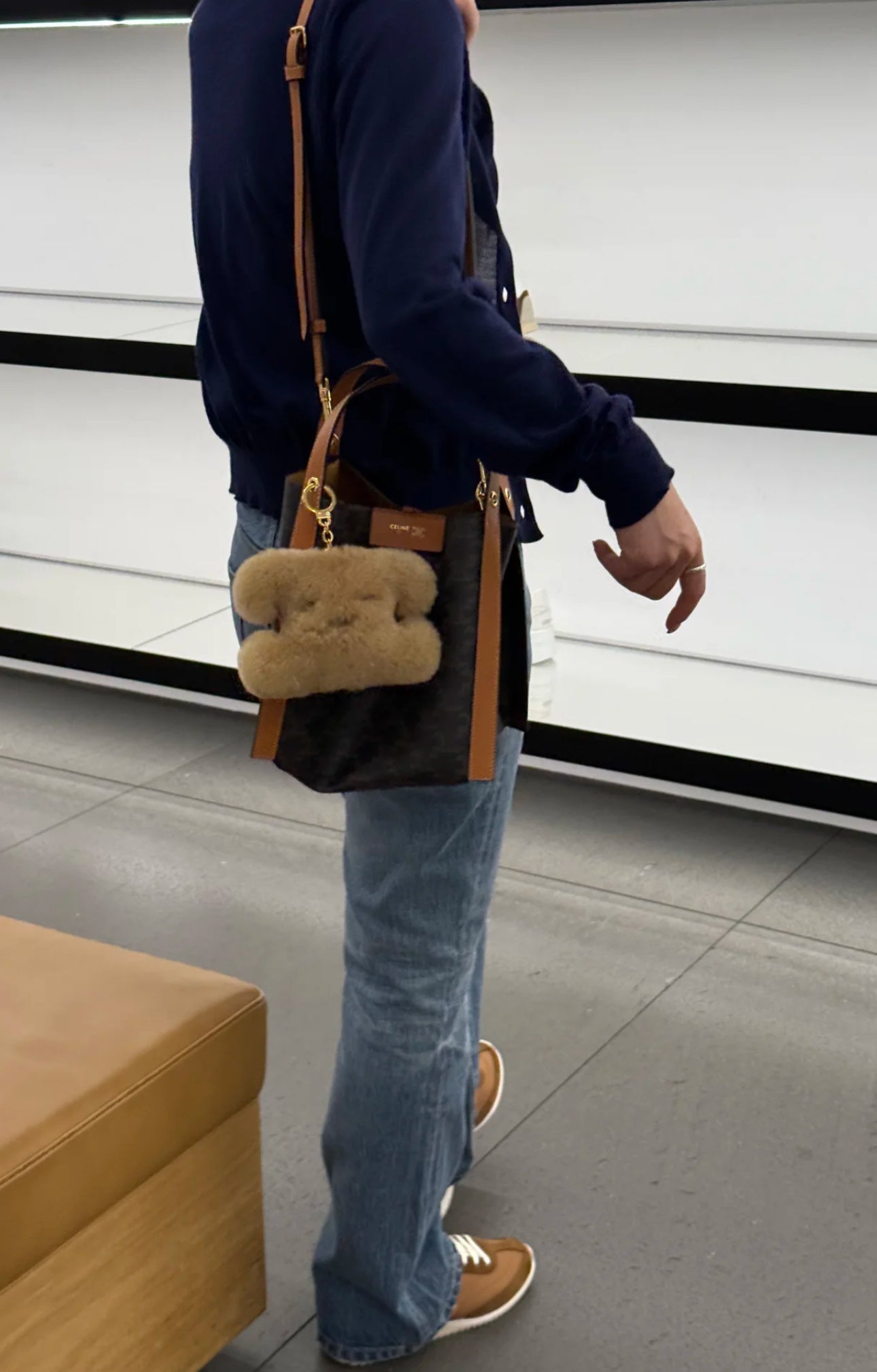 Celine Small Cube Bag Brown Triomphe Canvas Calfskin